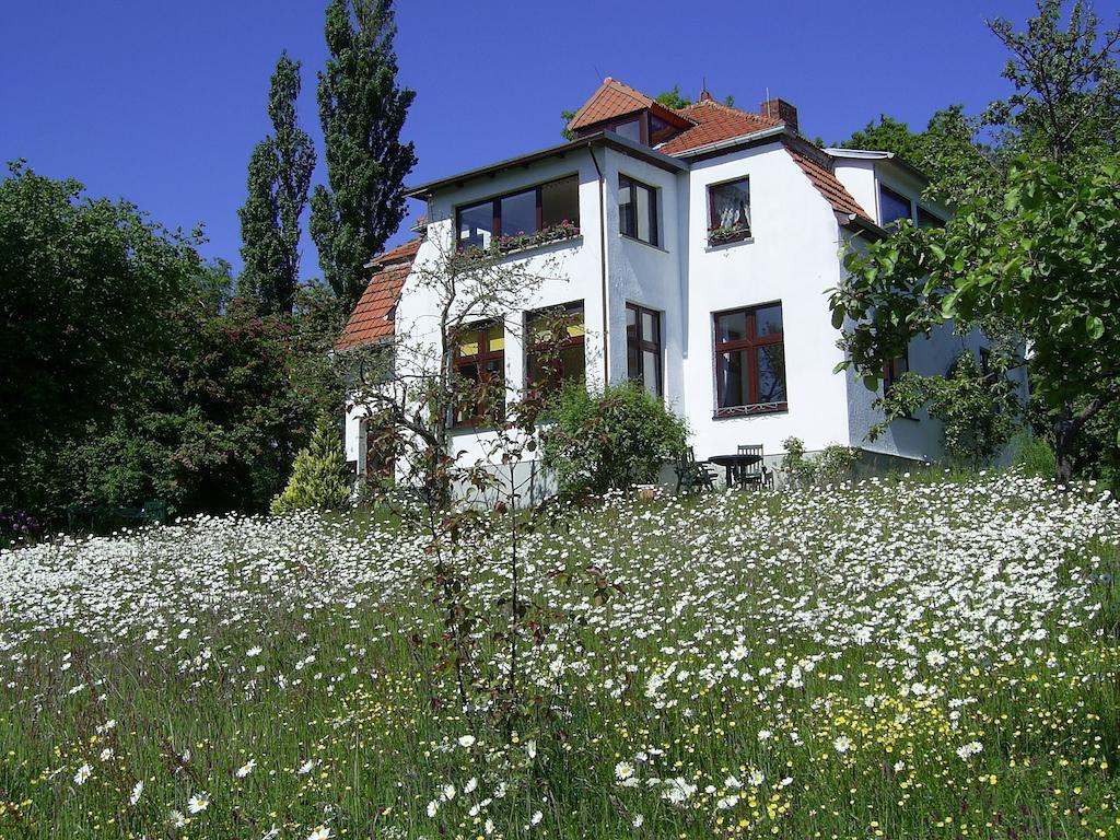 Ferienwohnungen Meerblick Herde Goehren  Room photo